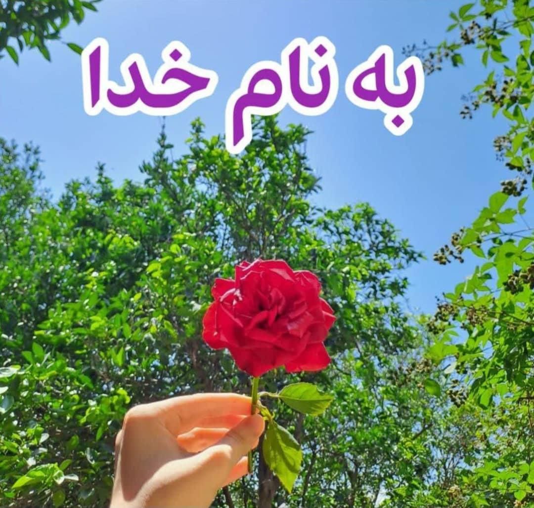 سرویس باربری|حراج|تهران, اکباتان|دیوار
