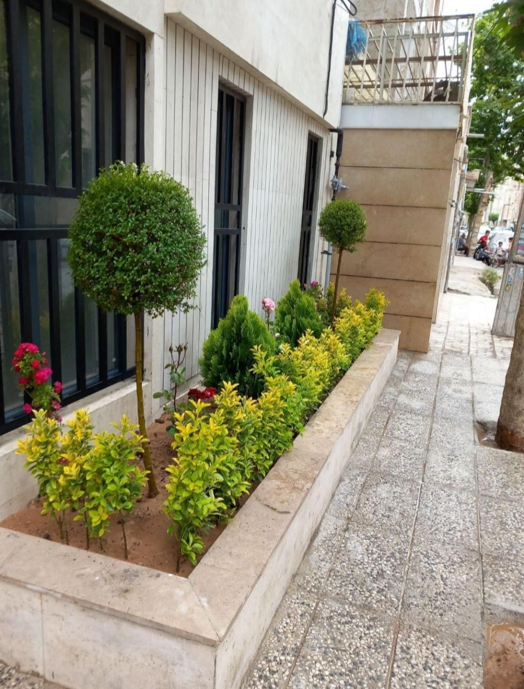 خدمات باغبانی کاشتن گل باغچه کاری تعویض خاک گلدون|خدمات باغبانی و درختکاری|تهران, یوسف‌آباد|دیوار