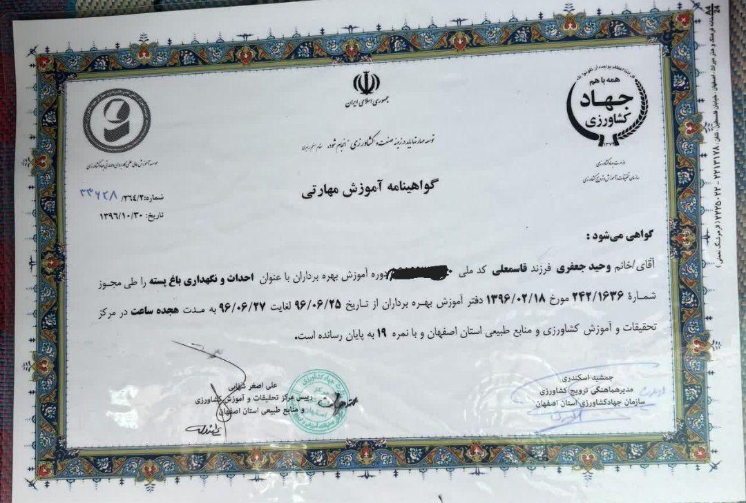 پیوند زنی درخت پسته|خدمات باغبانی و درختکاری|اصفهان, گورت|دیوار