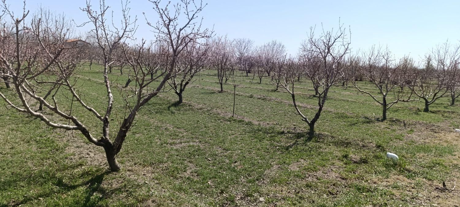 باغچه واقع در روستای قره گوز ایل|فروش خانه و ویلا|ارومیه, |دیوار