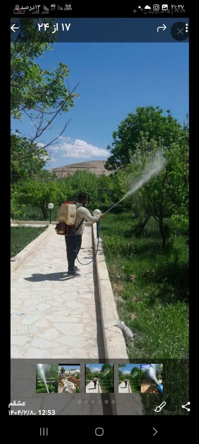 خدمات پیوندی باغبانی سم پاشی طرح فضای باغچه|خدمات باغبانی و درختکاری|تهران, سهروردی|دیوار