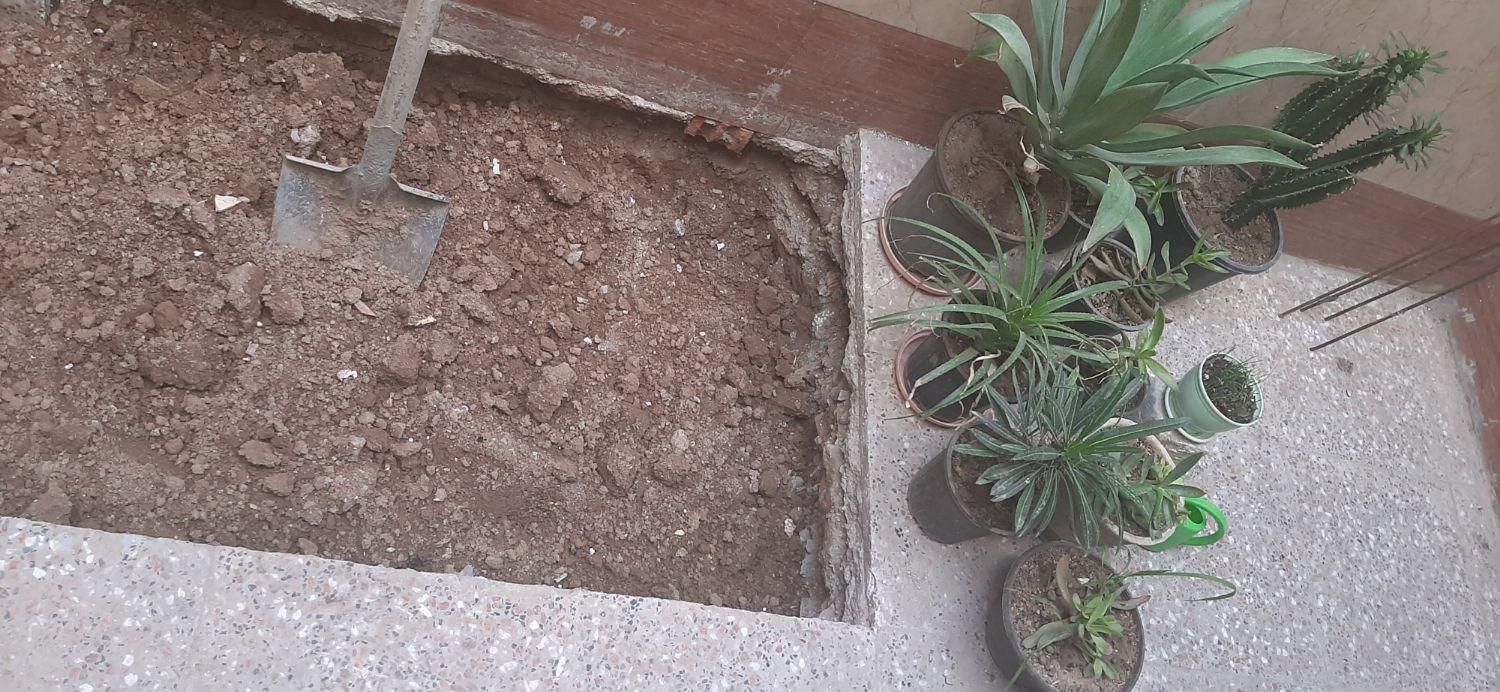خاک رس رایگان برای باغچه|گل و گیاه طبیعی|تهران, نعمت‌آباد|دیوار