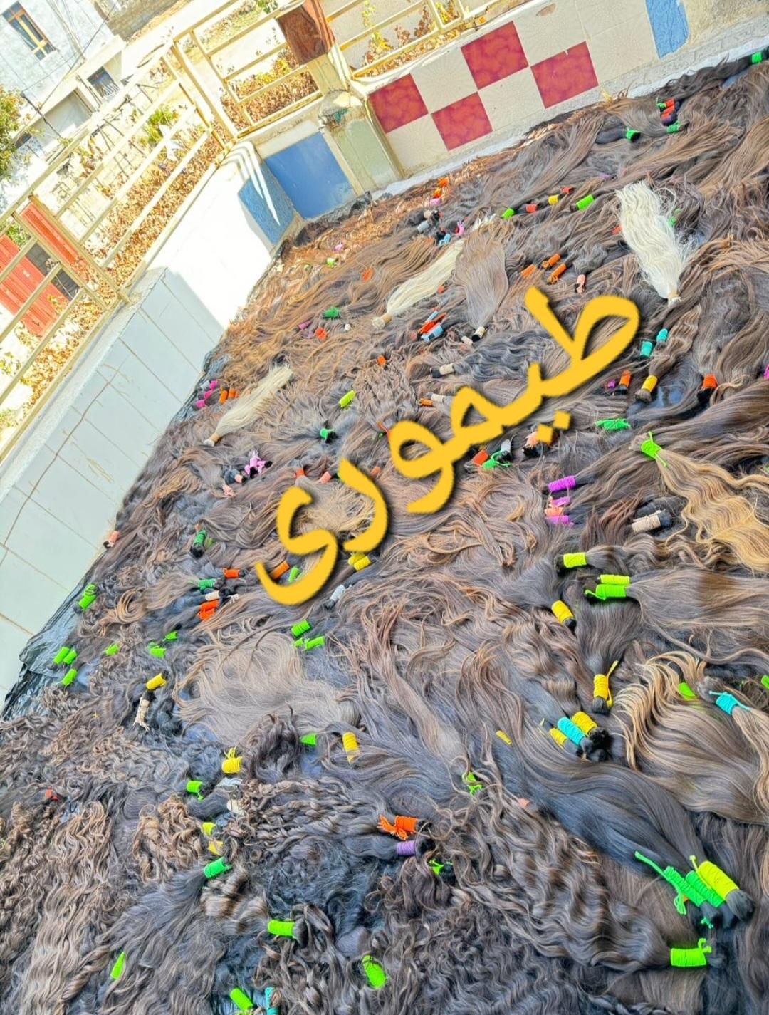 فروش و خریدار مو های طبیعی بدون واسطه(طیموری)|آرایشی، بهداشتی، درمانی|شیراز, فرهنگ شهر|دیوار