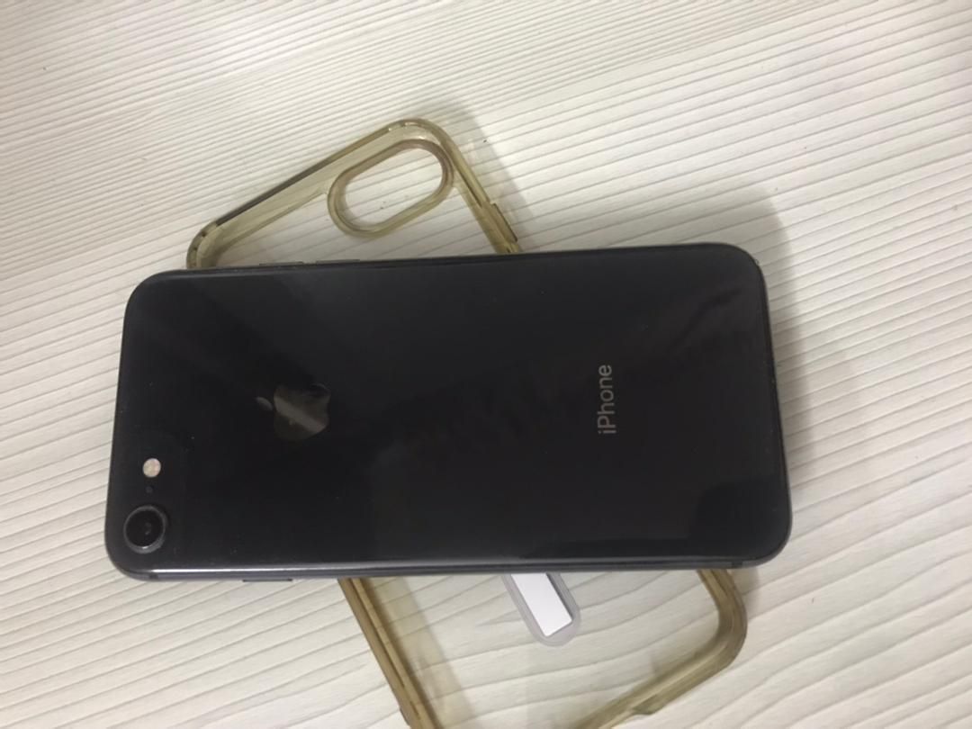 iphone 8-256|موبایل|ری, |دیوار