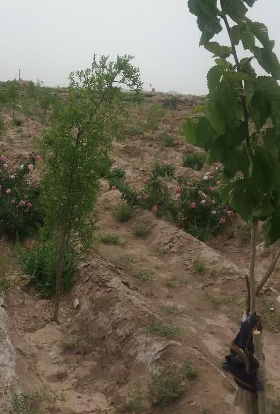 تصویر 3
