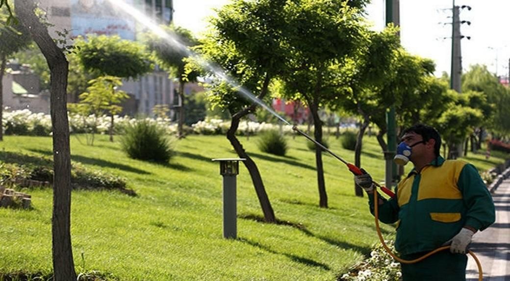 سمپاشی درخت حیاط ویلا خانه باغ و...|خدمات باغبانی و درختکاری|تهران, آذری|دیوار