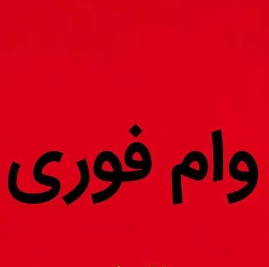 وام فوری فقط در پنج روز|فعالیت داوطلبانه|تهران, استاد معین|دیوار