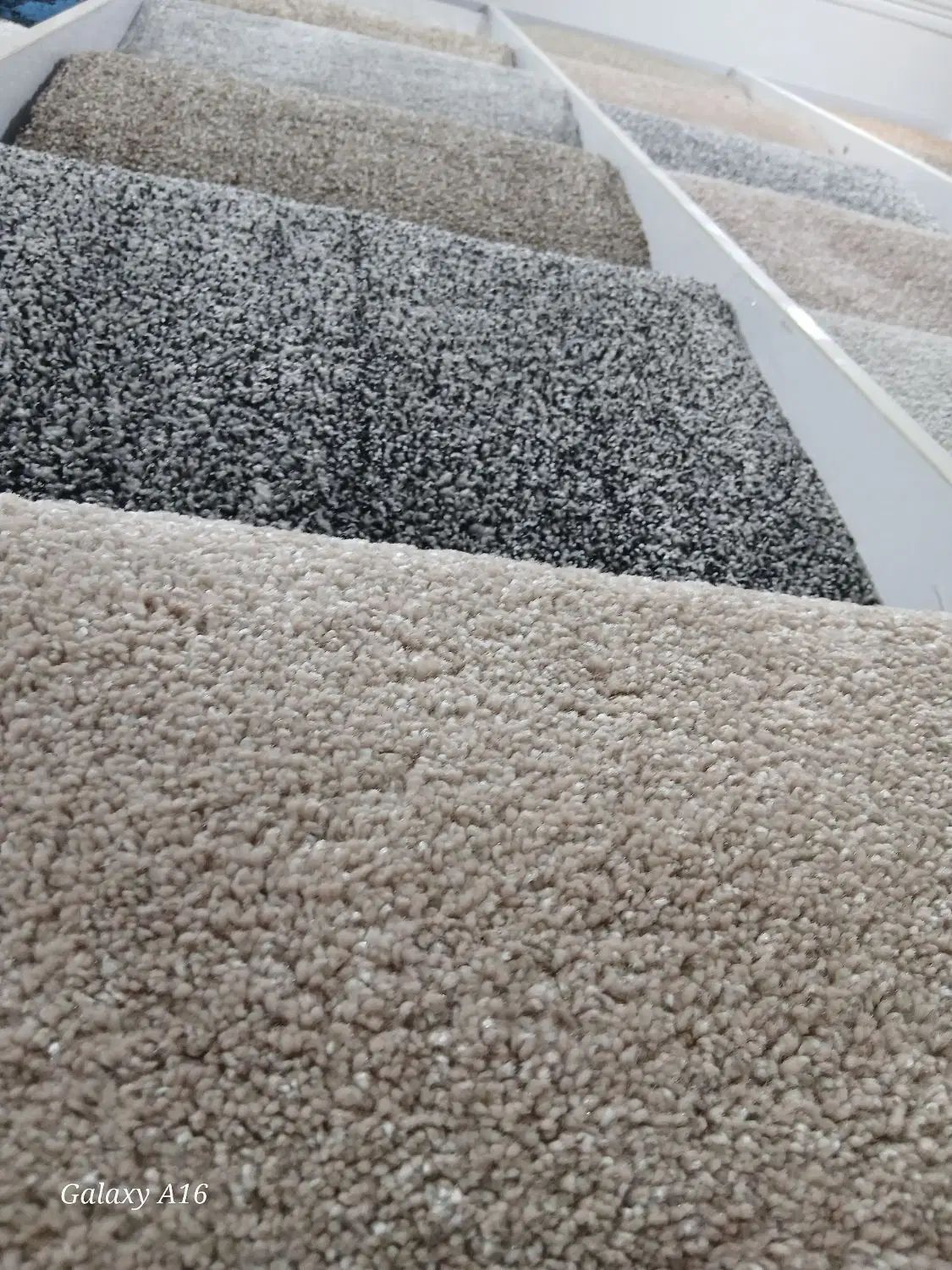 موکت پالاز بخر جاروبرقی هدیه ببر|موکت|اهواز, شریعتی جنوبی|دیوار