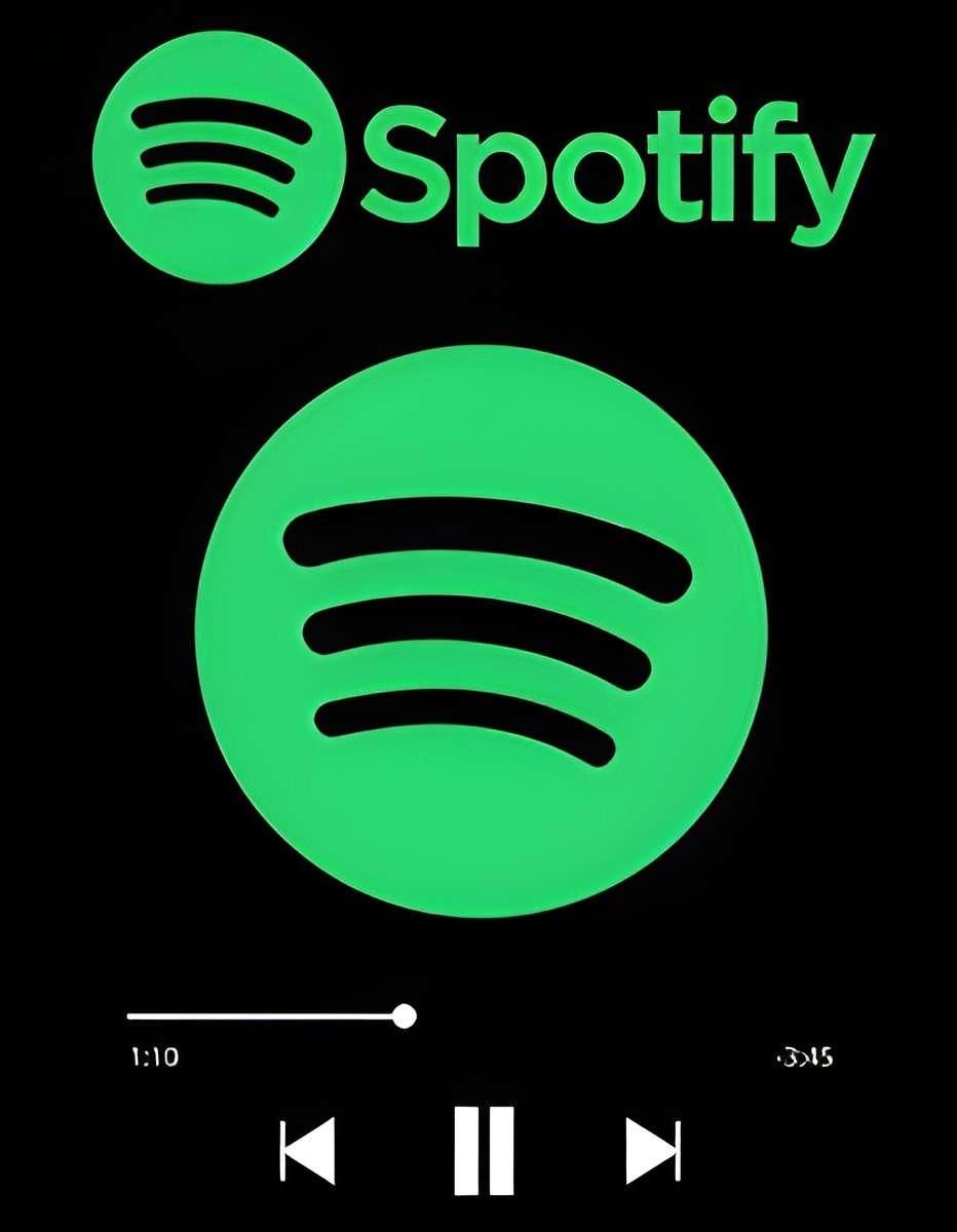 اکانت اسپاتیفای پرمیوم  Spotify Premium|کنسول، بازی ویدئویی و آنلاین|تهران, افسریه|دیوار