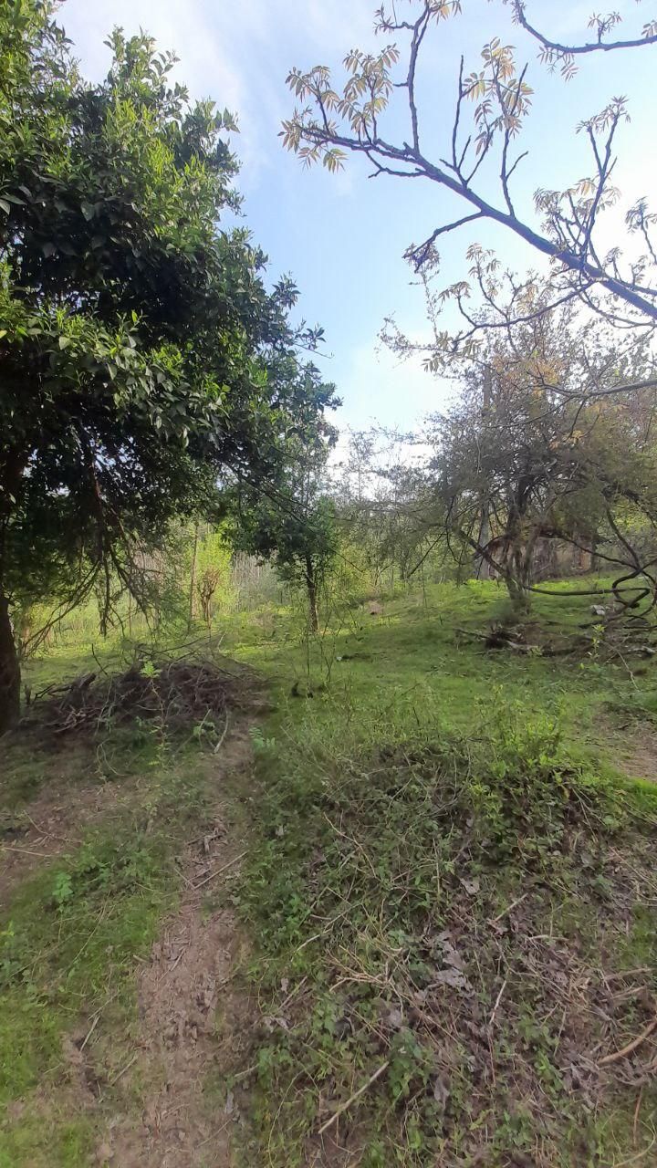 زمین مسکونی فروشی در روستای گنجار|فروش زمین و ملک کلنگی|احمدسرگوراب, |دیوار