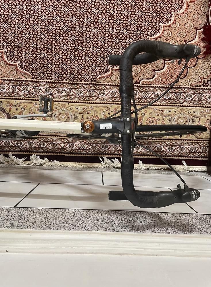 دوچرخه کورسی..|دوچرخه، اسکیت، اسکوتر|تهران, بریانک|دیوار