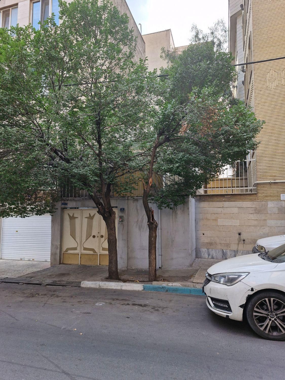 فروش خانه کلنگی حیاط دار در تهران|فروش خانه و ویلا|تهران, تهران‌نو|دیوار
