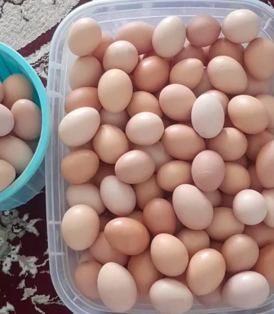 تخم مرغ محلی|خوردنی و آشامیدنی|سیرجان, |دیوار