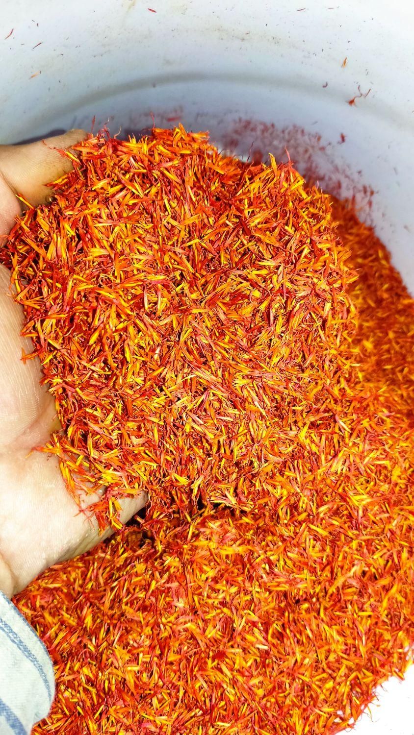 گل گلرنگ|گل و گیاه طبیعی|مرودشت, مسجد رسول‎|دیوار