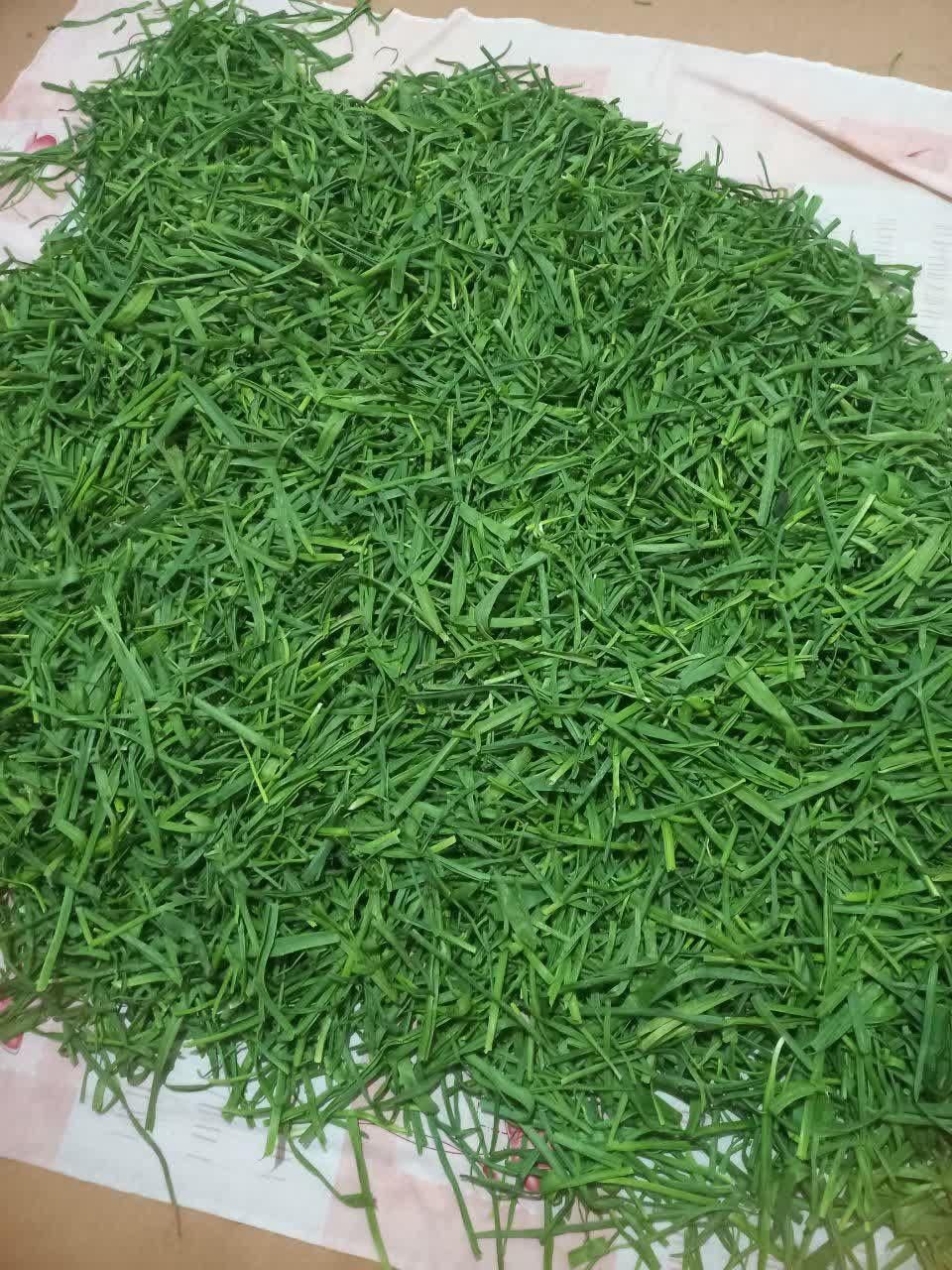 سبزیجات ارگانیک مظفری|خوردنی و آشامیدنی|نیشابور, |دیوار