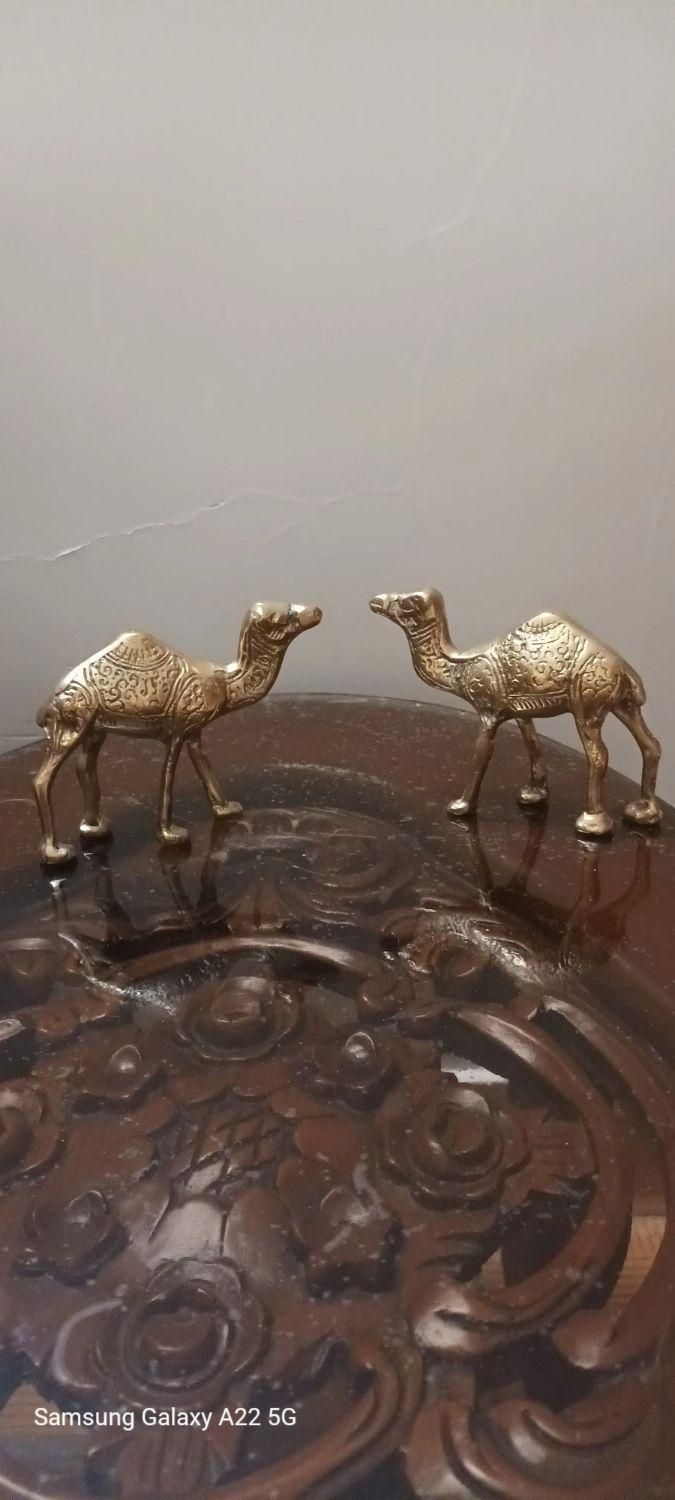 شتر برنجی|مجسمه، تندیس، ماکت|تهران, خلیج فارس|دیوار