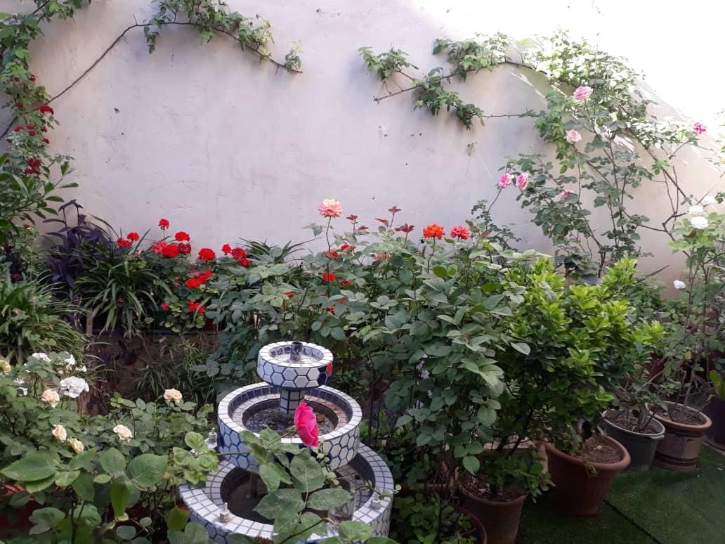 فروش زمین ۶۶ متری در مینا|فروش زمین و ملک کلنگی|تهران, مینا|دیوار