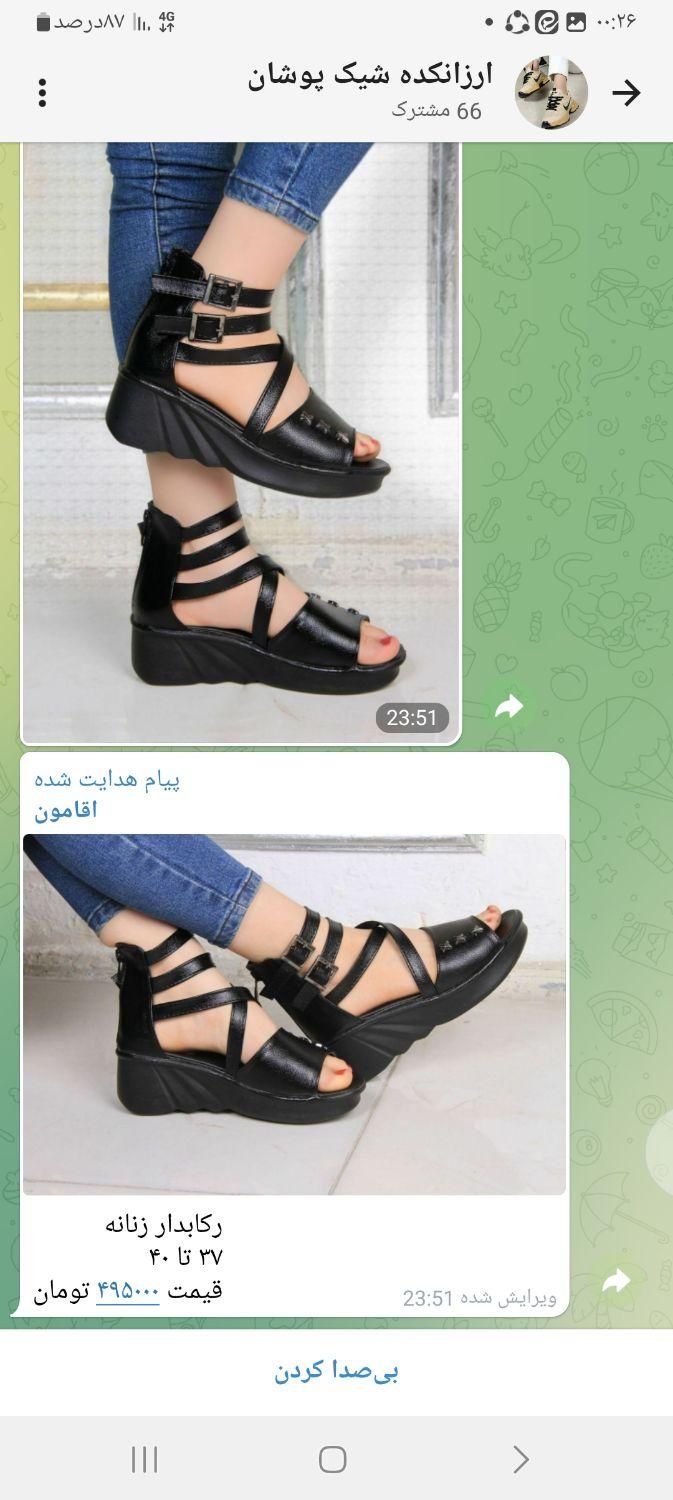 کفش و صندل و راحتی|کیف، کفش، کمربند|تهران, استخر|دیوار