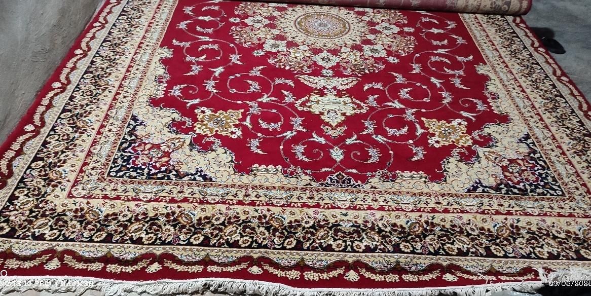 فرش خوش رنگ و تمیز|فرش|دهدشت, |دیوار