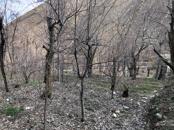 زمین در روستای تالون حومه امام زاده داود|فروش زمین و ملک کلنگی|تهران, کن|دیوار