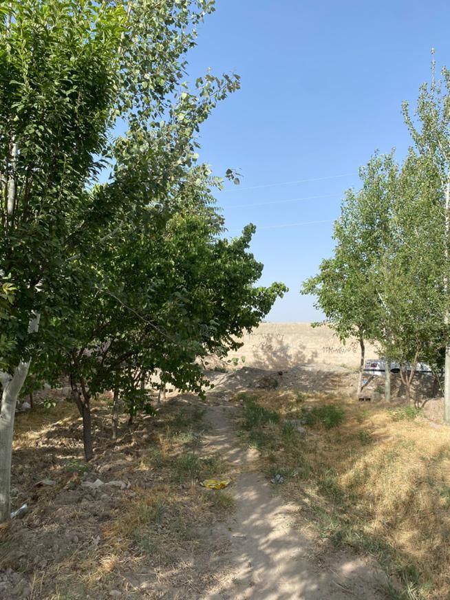باغ و باغچه از ۲۵۰ متر با آب لوله کشی|فروش دفتر صنعتی، کشاورزی، تجاری|تهران, وحیدیه|دیوار