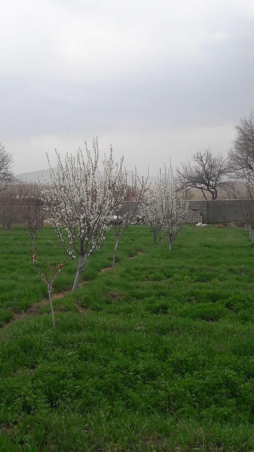 فروش باغ ،زمین،ویلای آماده،در روستای زین آباد|فروش خانه و ویلا|تبریز, |دیوار