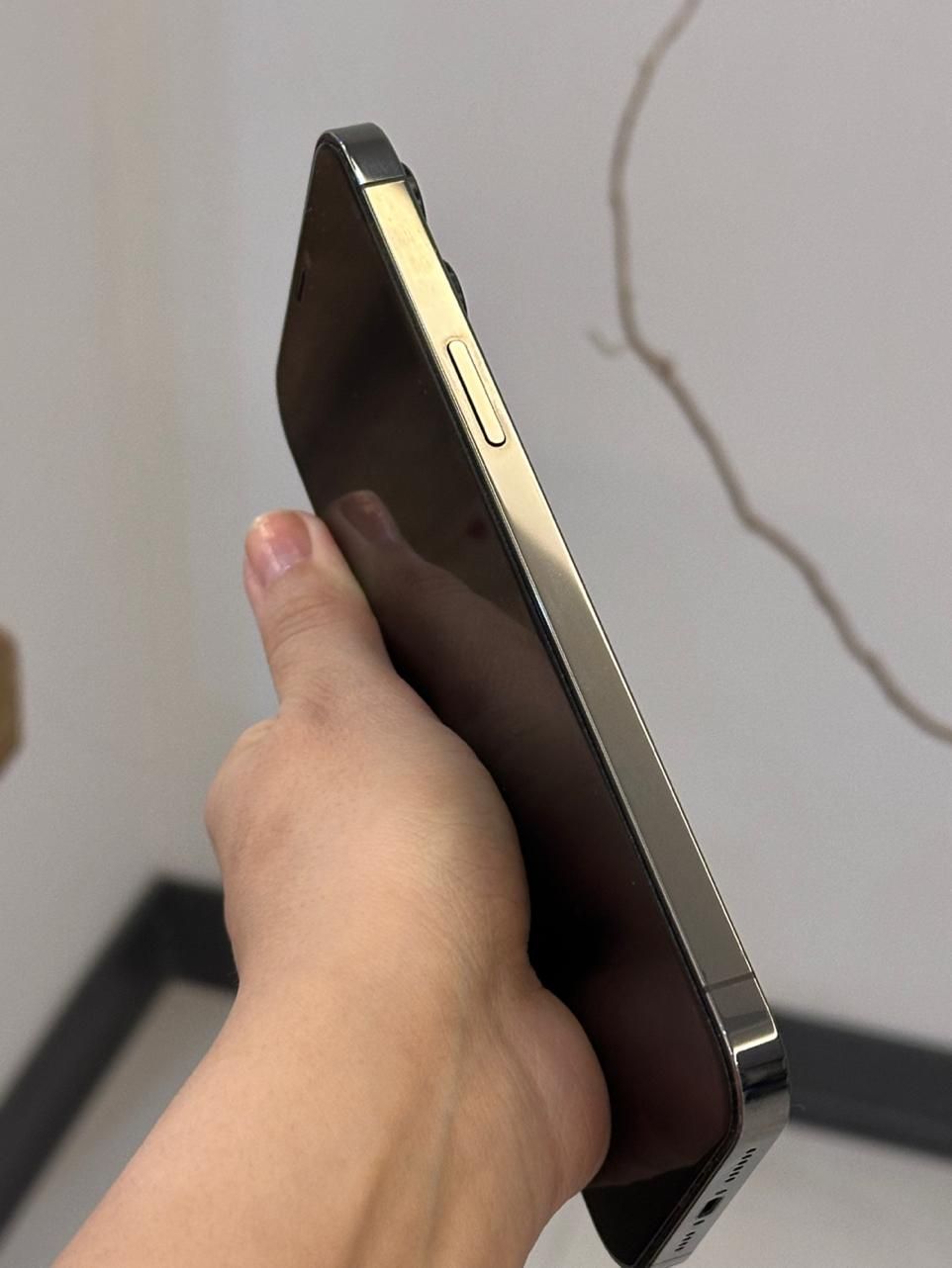 اپل iPhone 12 Pro Max با حافظهٔ ۲۵۶ گیگابایت|موبایل|کرج, باغستان|دیوار