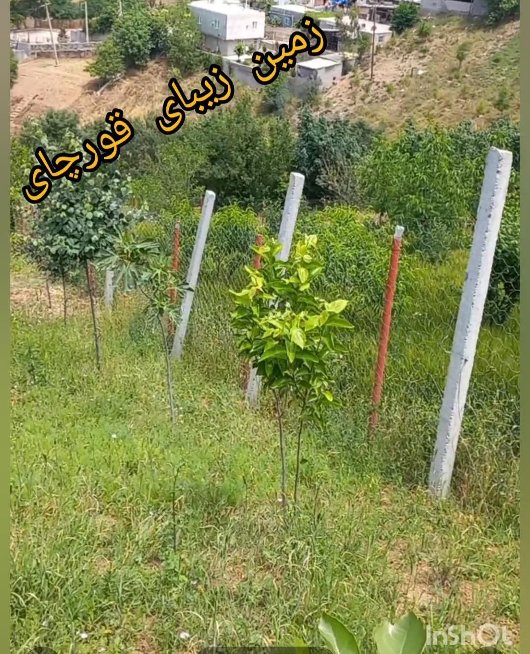 فروش زمین درروستای خوش آب وهوا|فروش زمین و ملک کلنگی|رامیان, |دیوار