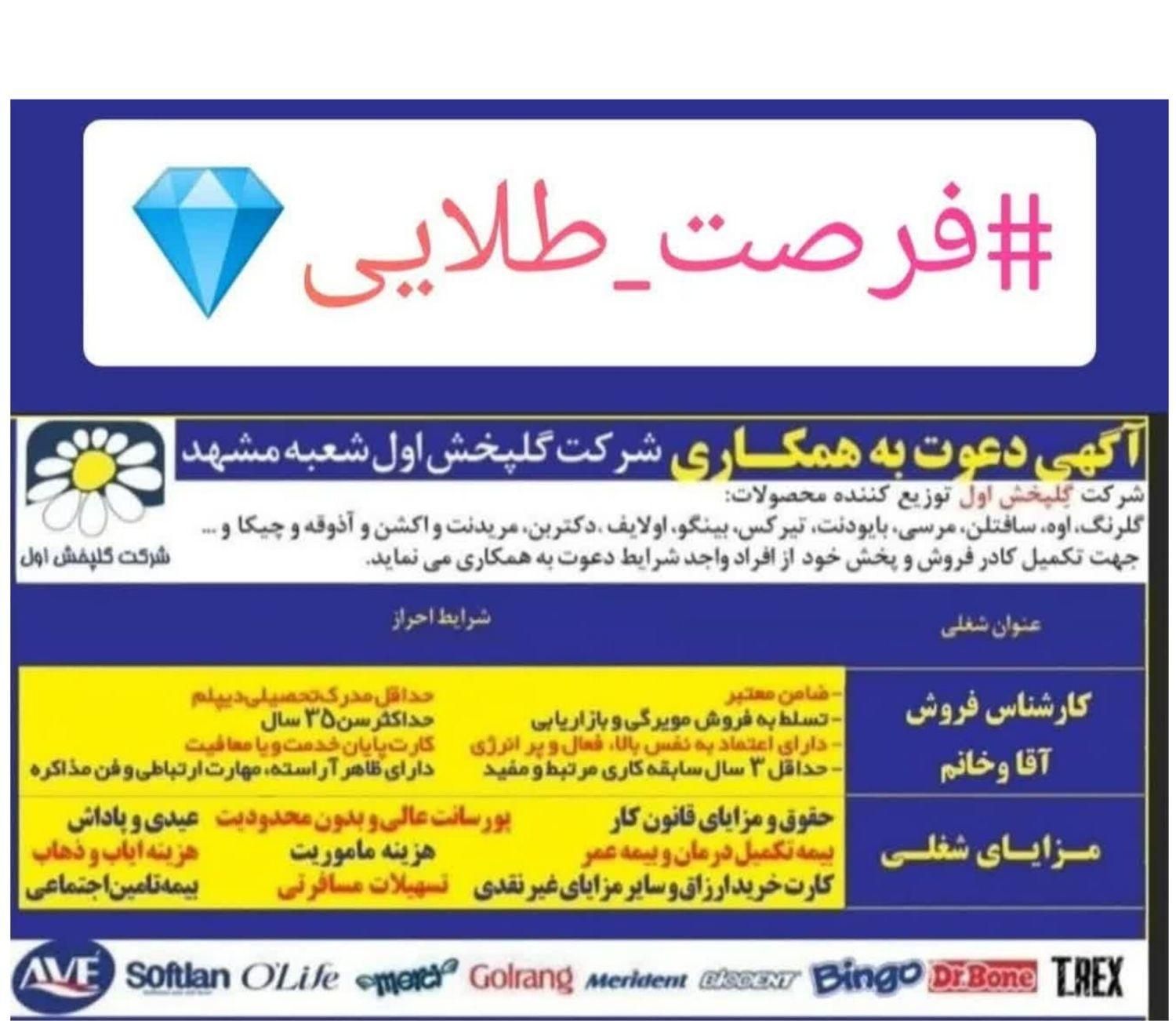 استخدام بازایاب شرکت گل پخش اول محصولات  سافتلن|استخدام بازاریابی و فروش|نیشابور, |دیوار