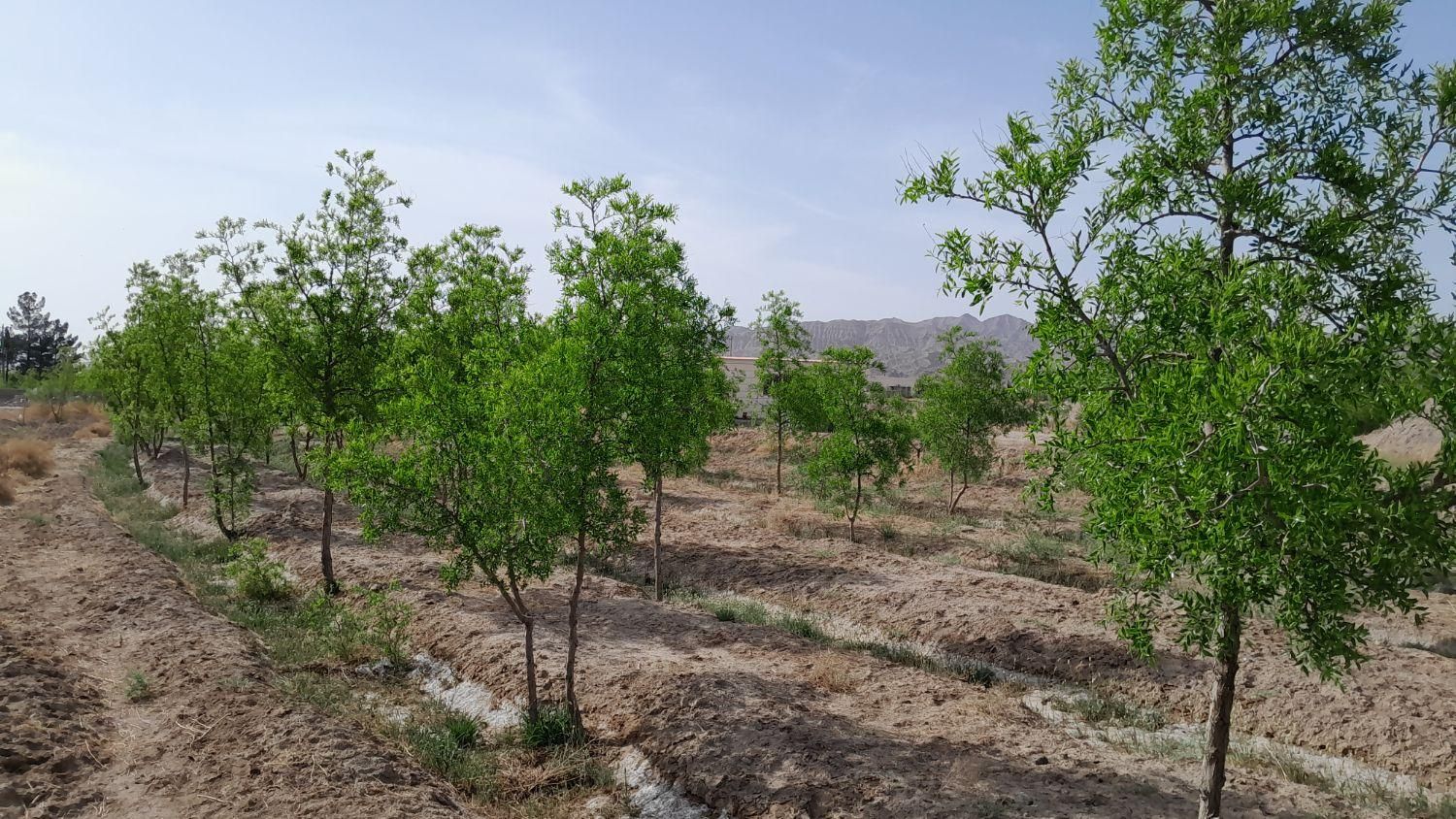 تصویر 9