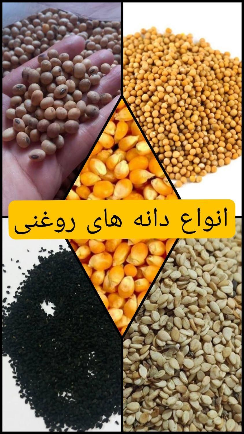 کنجد و ارده و روغن کنجد|خوردنی و آشامیدنی|تهران, شوش|دیوار