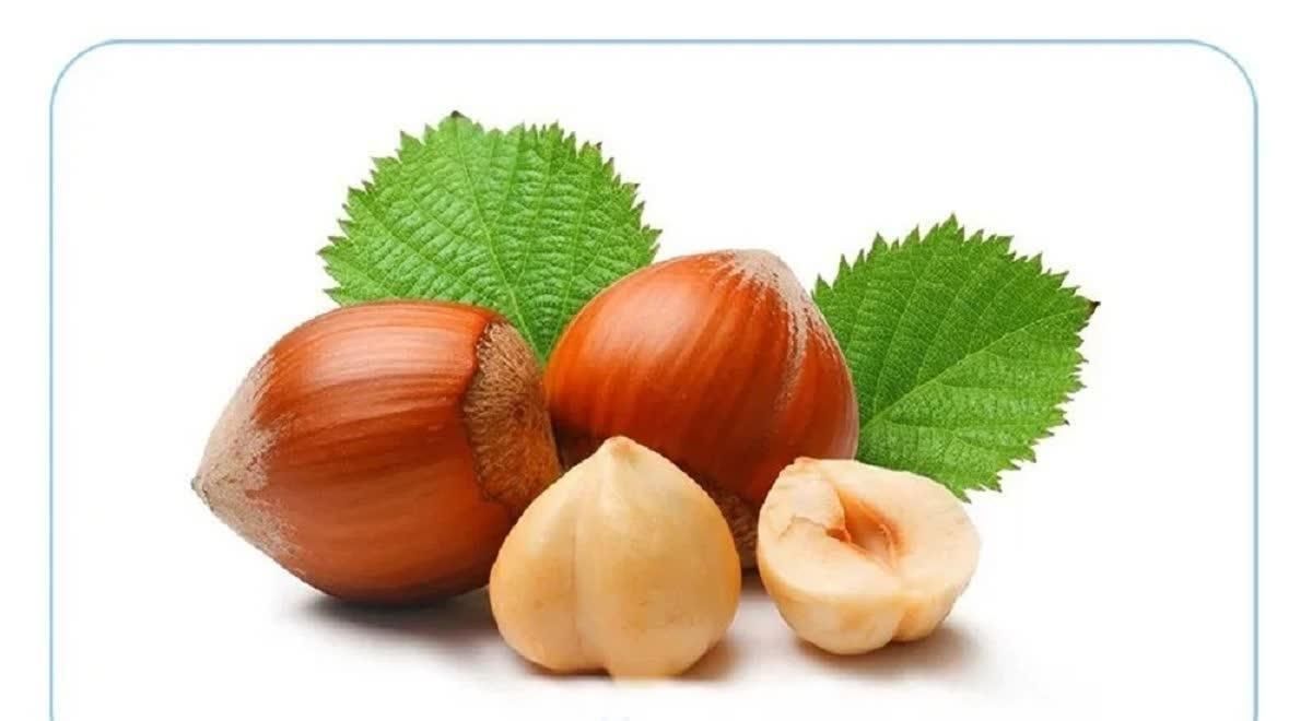 روغن فندق ارگانیک|حراج|تهران, ابن بابویه|دیوار