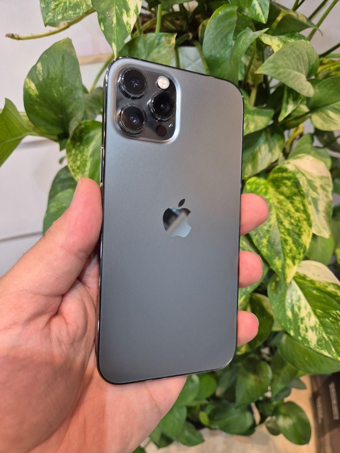 آیفونip12pro max|موبایل|اصفهان, بوستان آینه خانه|دیوار