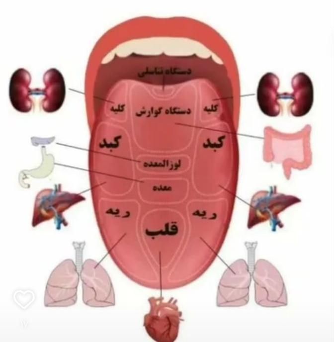 کسب و کار آنلاین در خانه|خدمات آموزشی|خرمدره, |دیوار