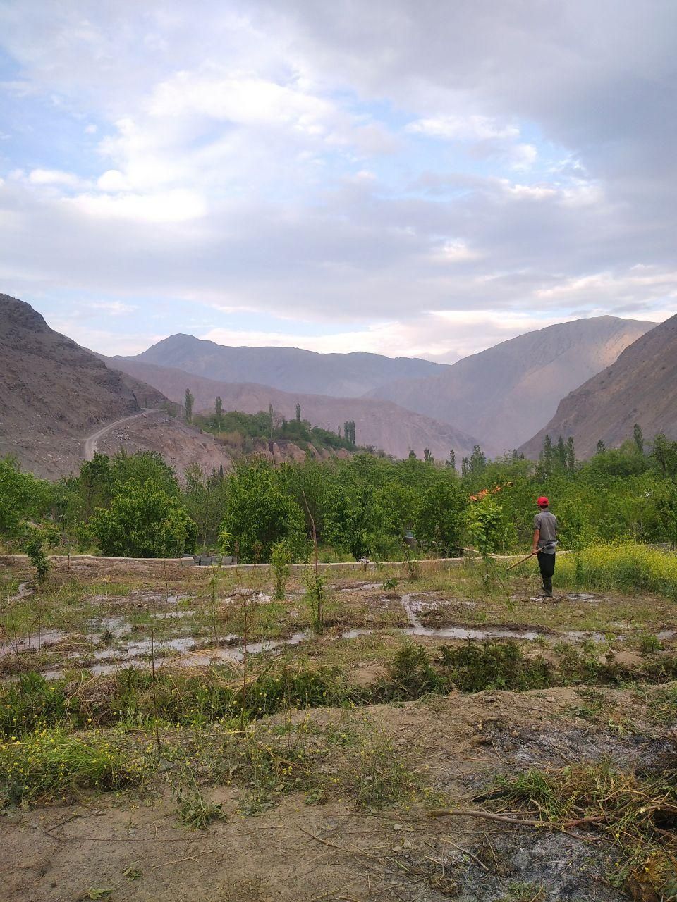 زمین در روستای پنجآب قابل معاوضه|فروش زمین و ملک کلنگی|گزنک, |دیوار