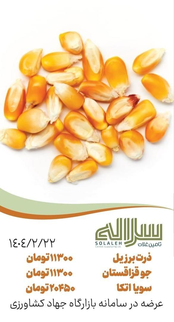 محصولات دامی ذرت جو و سویا|خوردنی و آشامیدنی|تهران, فاطمی|دیوار