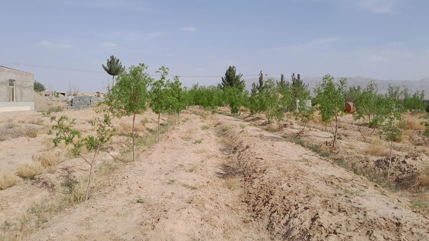 تصویر 10