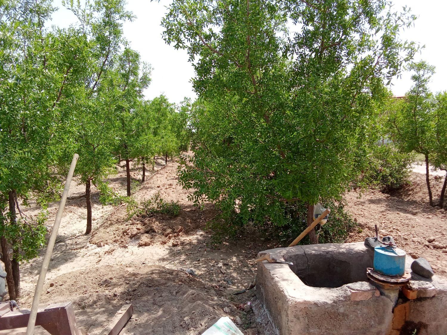 تصویر 3