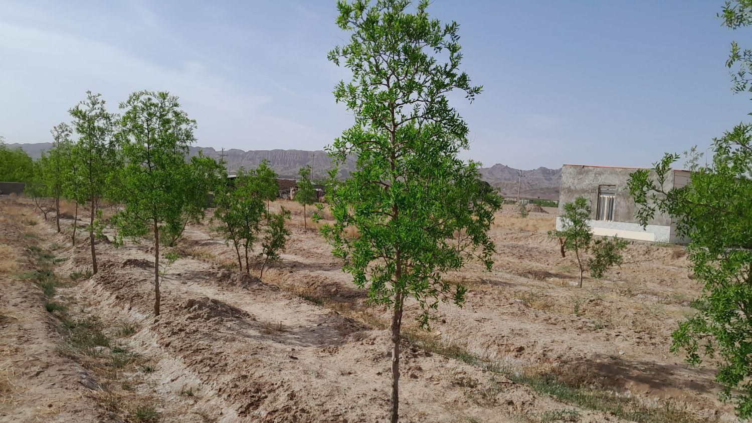 تصویر 8
