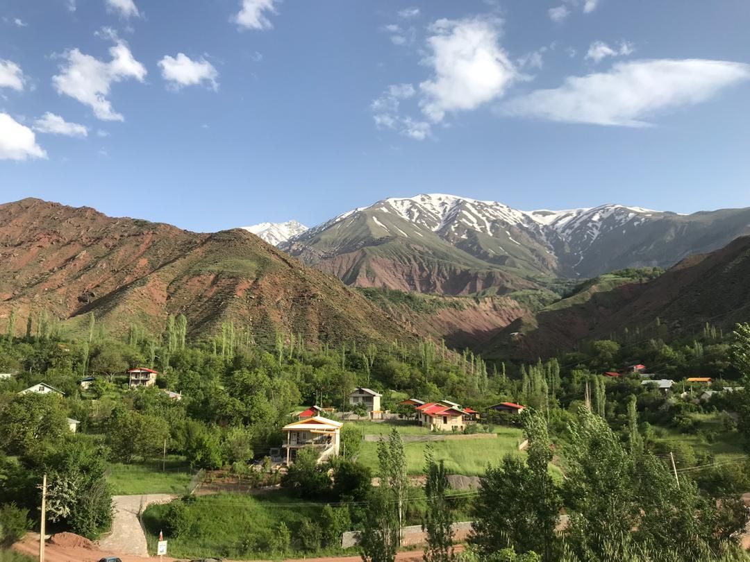 علوفه دام|حیوانات مزرعه|گرمی, |دیوار