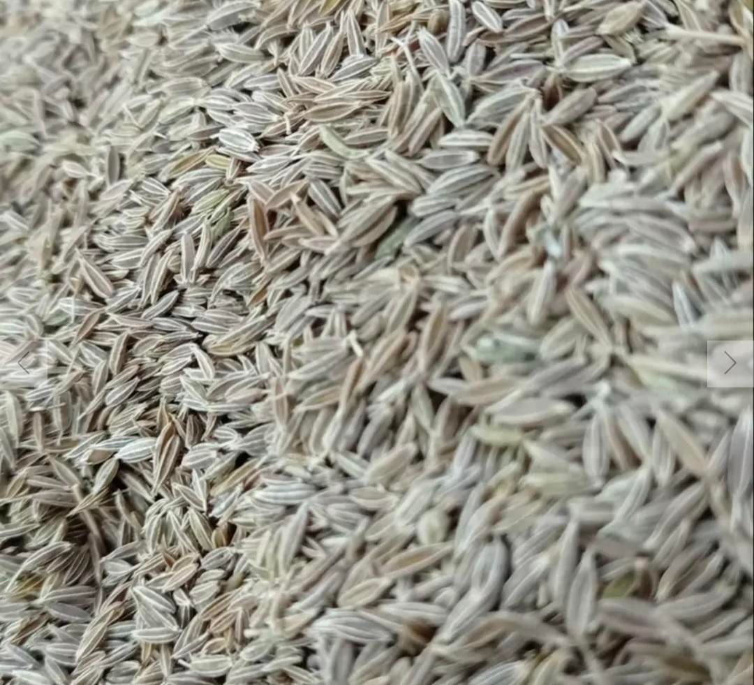 زیره ..و..کرابیه|خوردنی و آشامیدنی|تربت جام, مطهری|دیوار