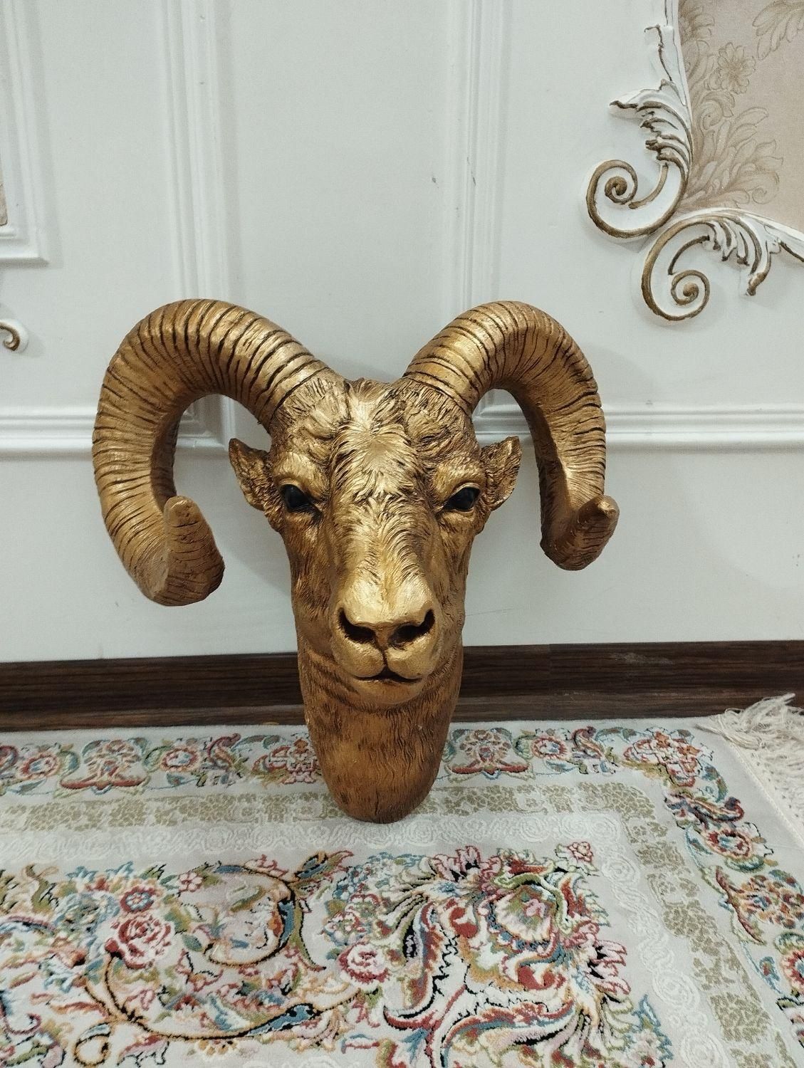 کله دکوری نو|مجسمه، تندیس، ماکت|مشهد, الهیه|دیوار