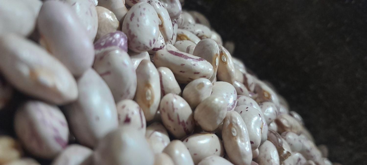 لوبیا خوراک محلی و درجه یک|خوردنی و آشامیدنی|خان ببین, |دیوار