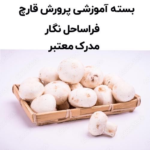 پرورش قارچ دکمه ای کسب و کار|خدمات آموزشی|تهران, نجات اللهی|دیوار