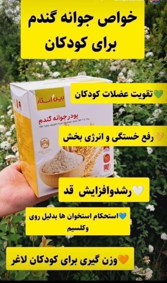 پودر جوانه گندم|خوردنی و آشامیدنی|دلیجان, |دیوار