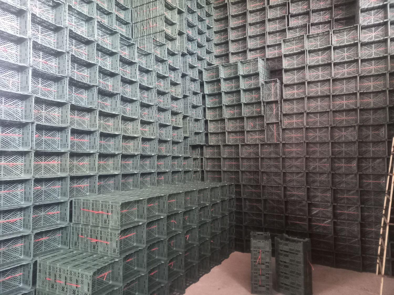 کارگر ساده جهت کار در کارخانه سبد سازی|استخدام صنعتی، فنی، مهندسی|مشگین شهر, |دیوار
