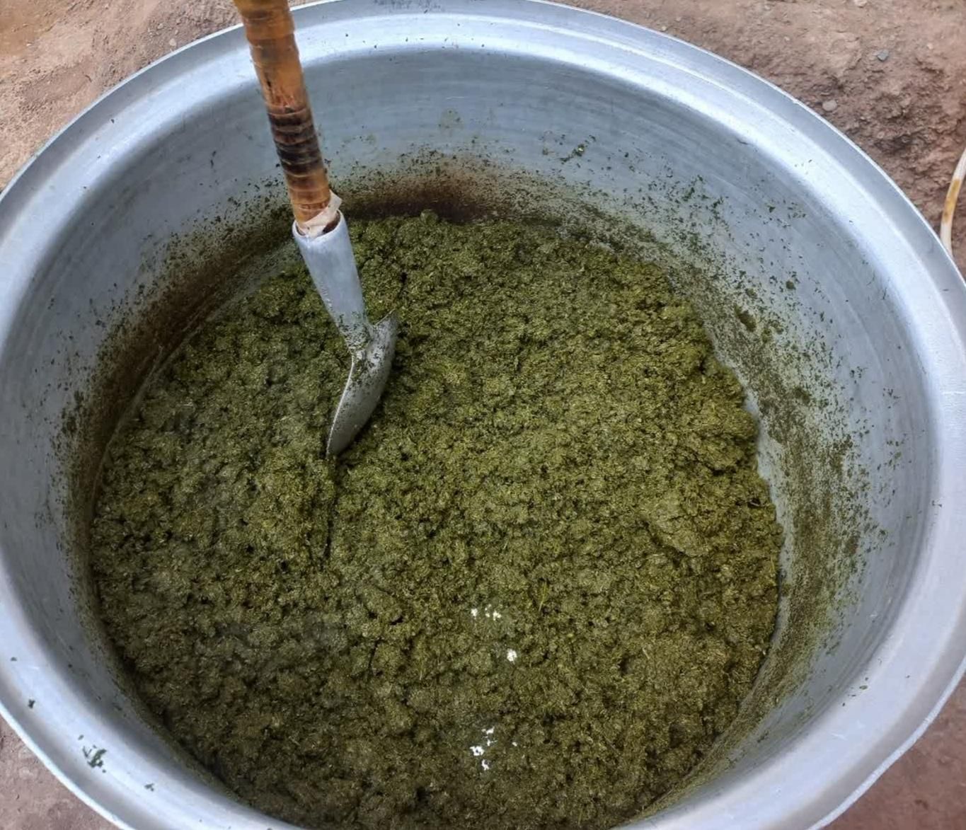 سبزیجات ارگانیک مظفری|خوردنی و آشامیدنی|نیشابور, |دیوار