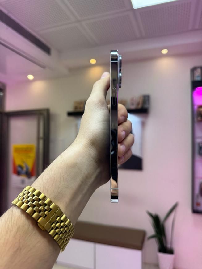 اپل iPhone 13 Pro Max  آیفون ۱۳ پرو مکس ۲۵۶|موبایل|اصفهان, شاهزید|دیوار