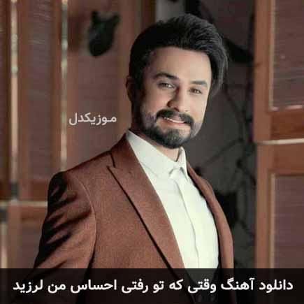 دو عدد بلیط کنسرت راغب (تربت حیدریه،یکشنبه)|بلیت کنسرت|تربت‌حیدریه, |دیوار