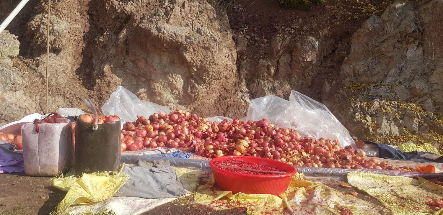 رب انار ۱۰۰درصد ارگانیک و خالص|خوردنی و آشامیدنی|تهران, میدان انقلاب|دیوار